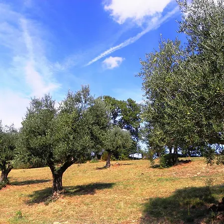 Aurora Alloggio per agriturismo *
